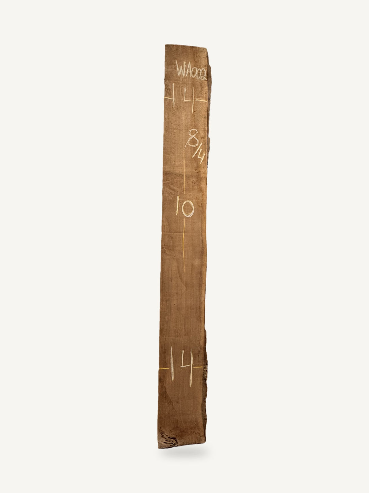 Black walnut live edge slab WA002, back face with chalked dimensions