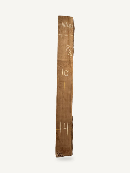 Black walnut live edge slab WA002, back face with chalked dimensions