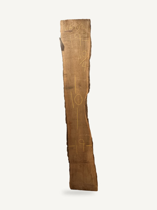 Black walnut live edge slab WA003, back face with chalked dimensions