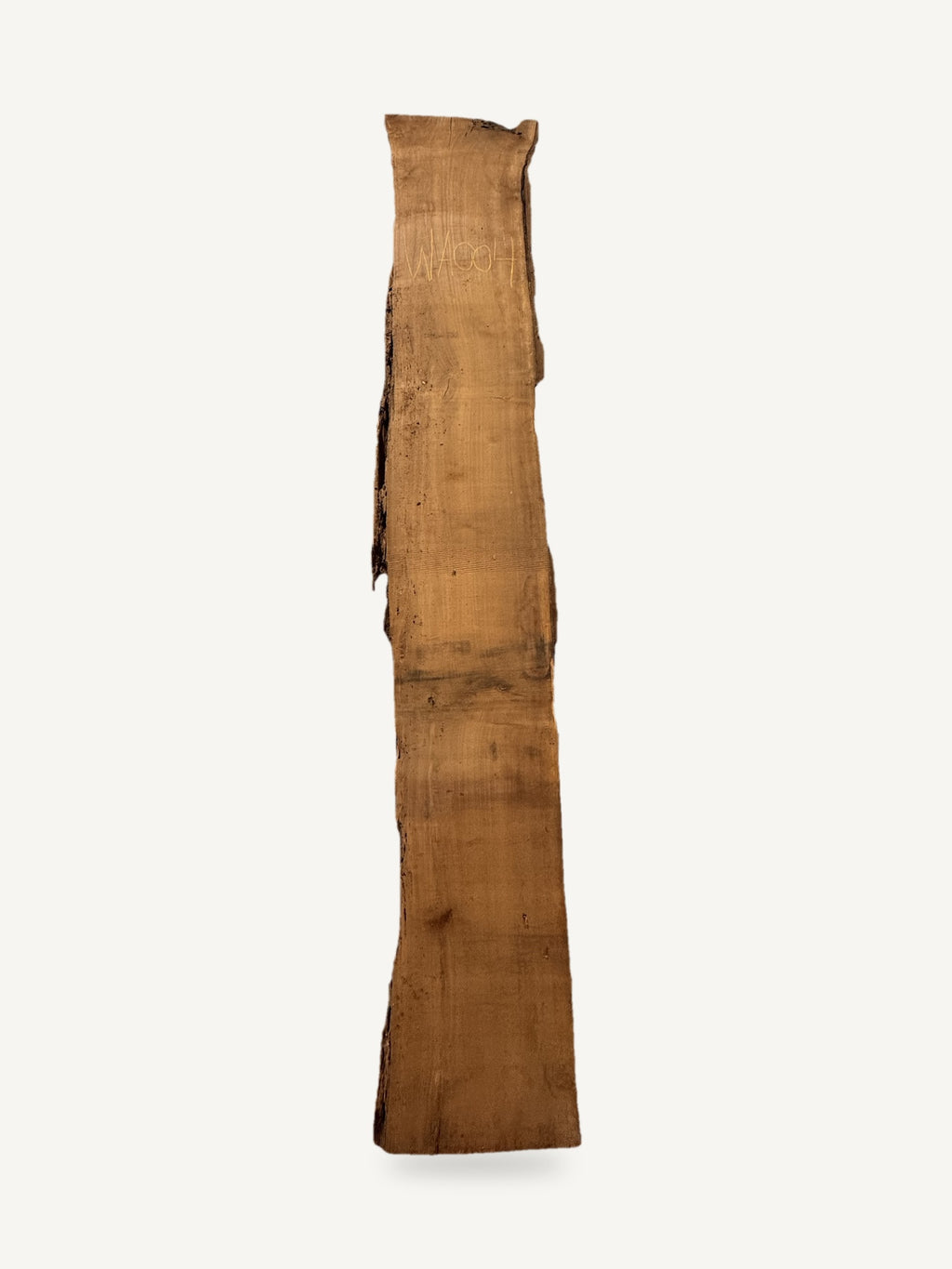 Black walnut live edge slab WA004, front face