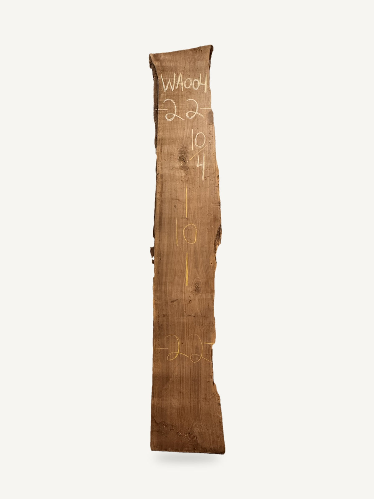 Black walnut live edge slab WA004, back face with chalked dimensions