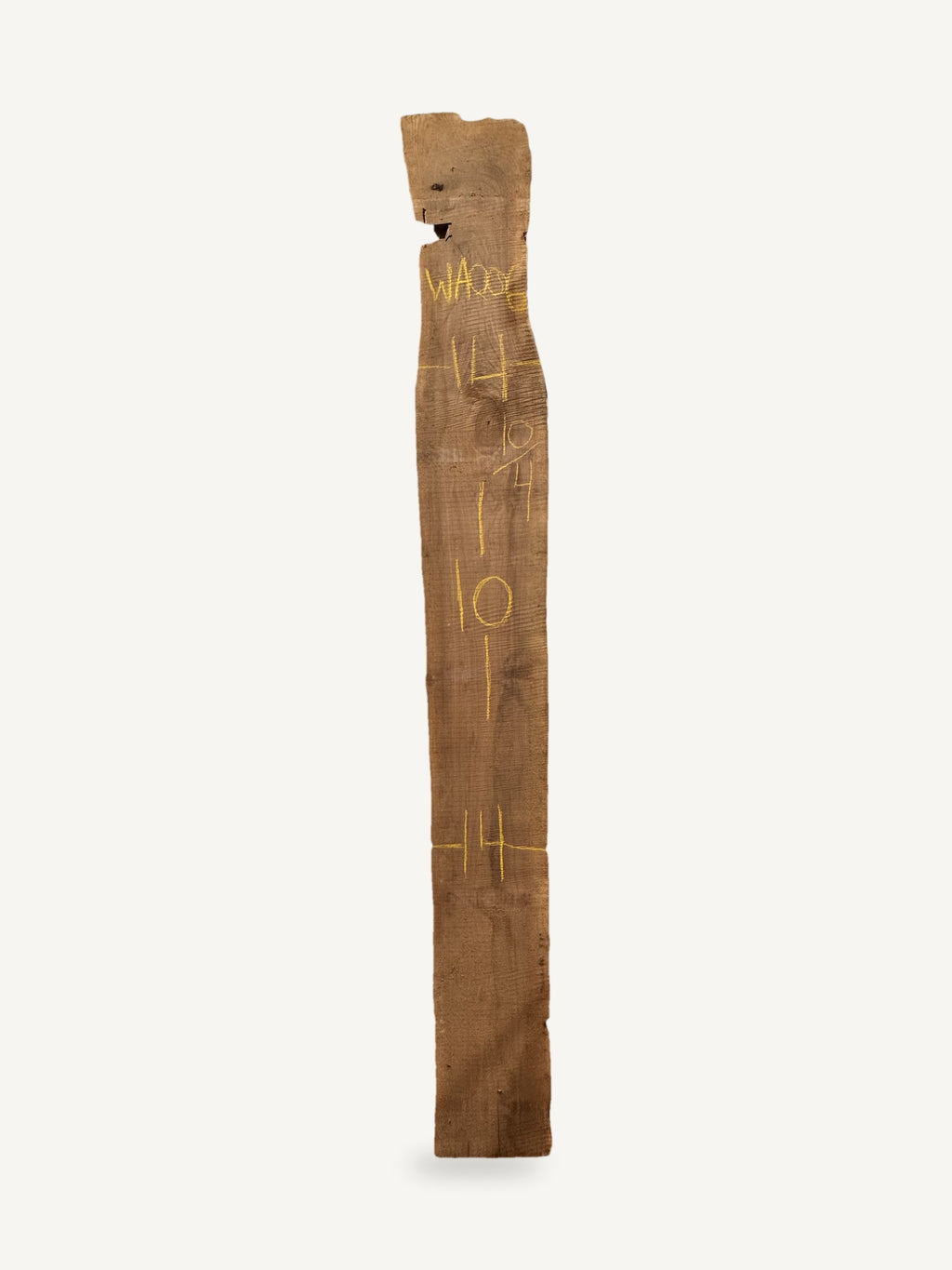 Black walnut live edge slab WA006, back face with chalked dimensions