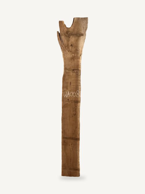 Black walnut live edge slab WA008, front face