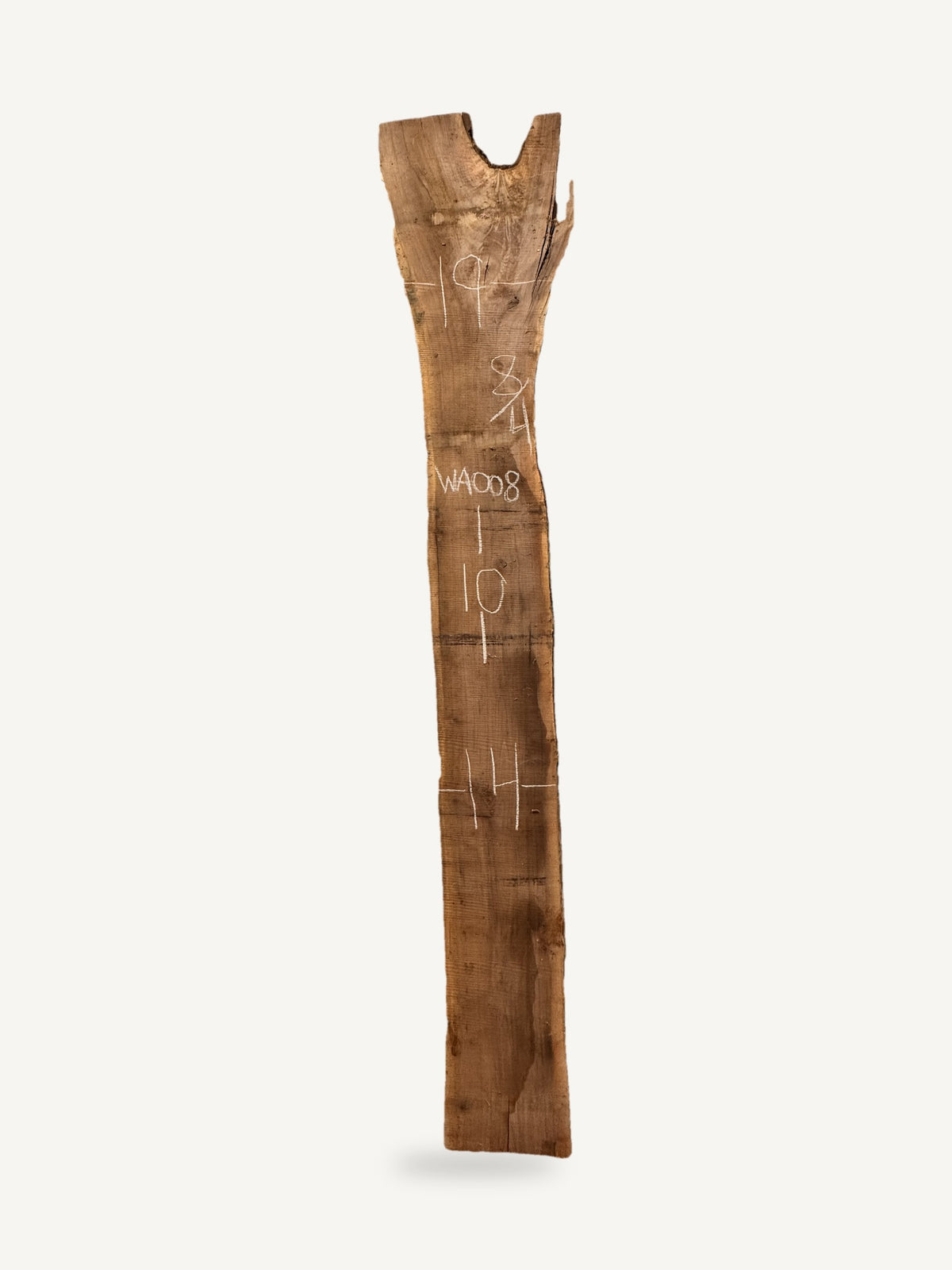 Black walnut live edge slab WA008, back face with chalked dimensions