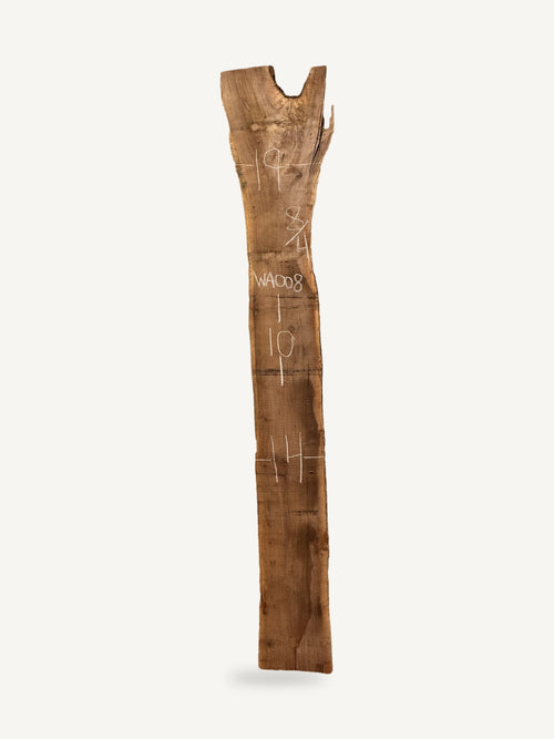 Black walnut live edge slab WA008, back face with chalked dimensions