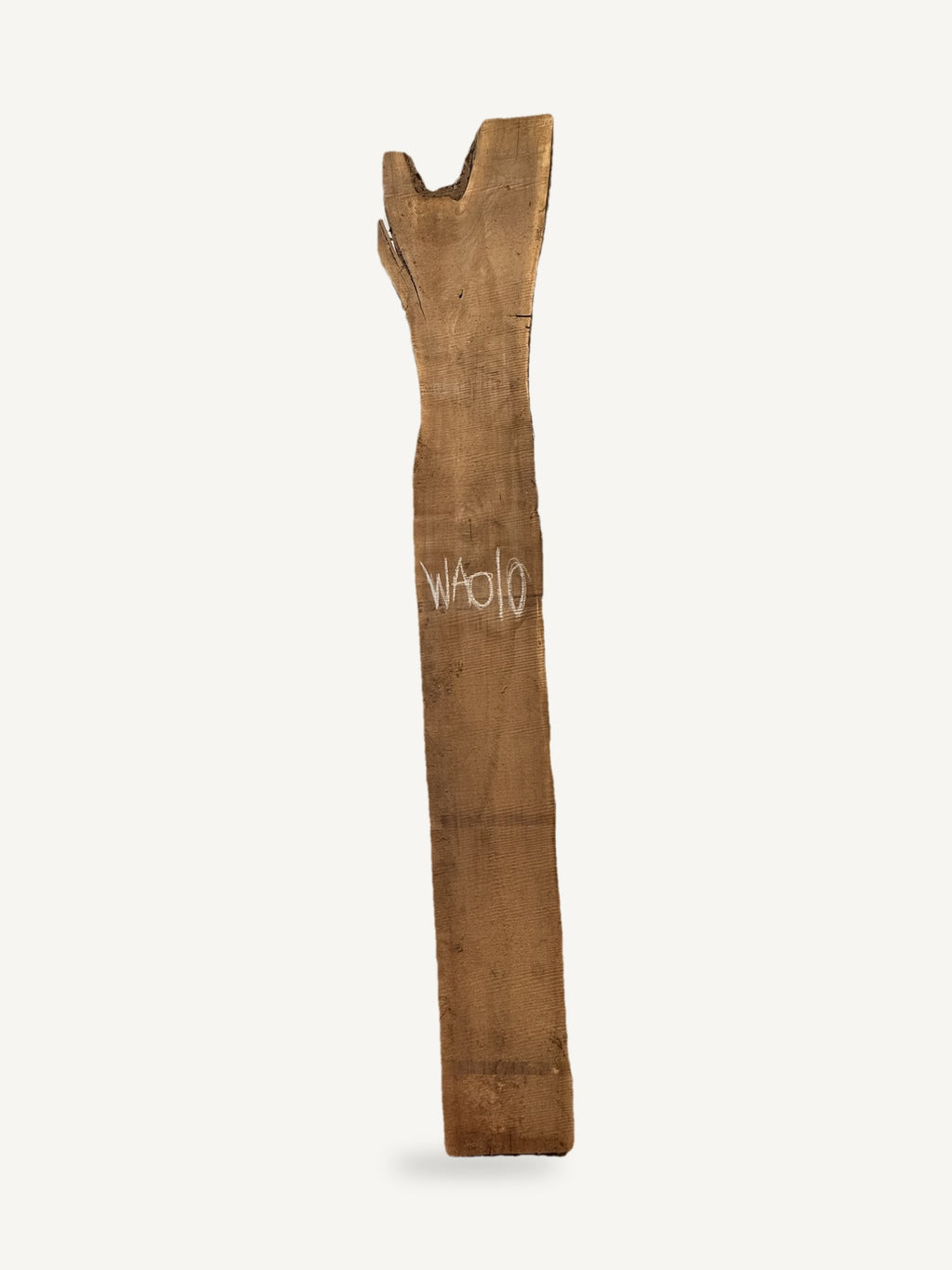 Black walnut live edge slab WA010, front face