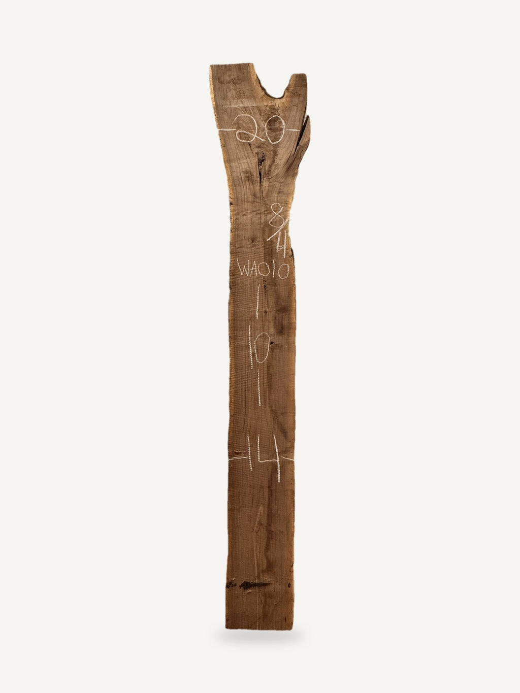 Black walnut live edge slab WA010, back face with chalked dimensions