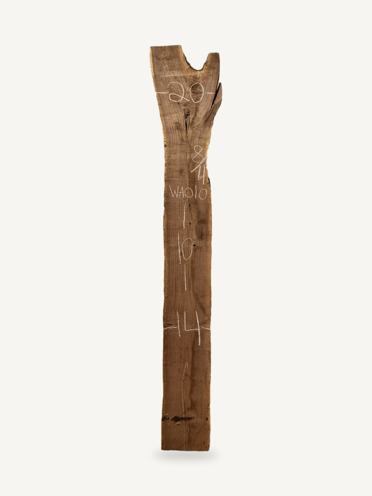 Black walnut live edge slab WA010, back face with chalked dimensions