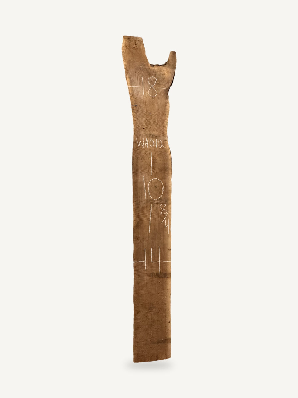 Black walnut live edge slab WA012, back face with chalked dimensions