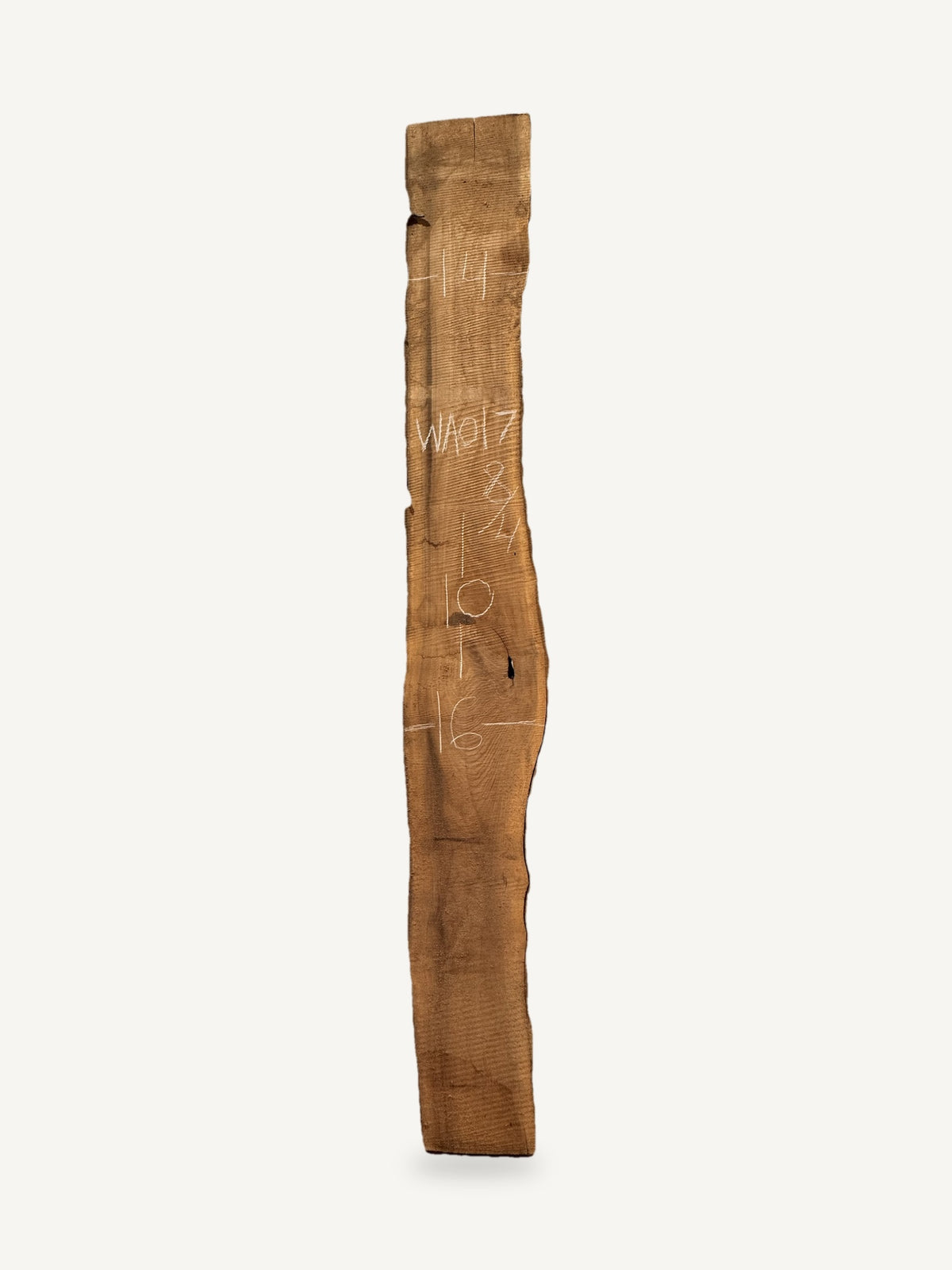 Black walnut live edge slab WA017, back face with chalked dimensions