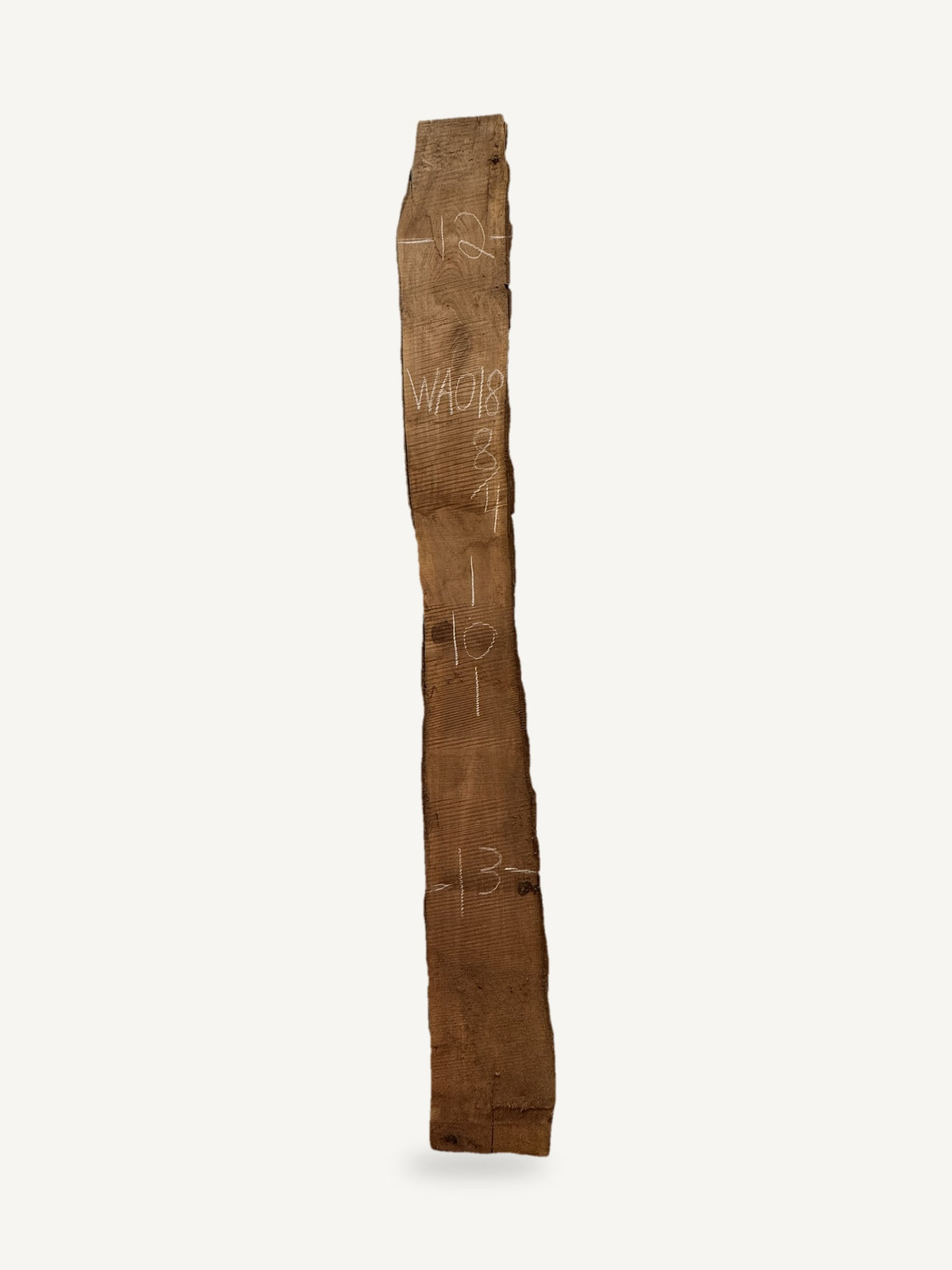 Black walnut live edge slab WA018, back face with chalked dimensions