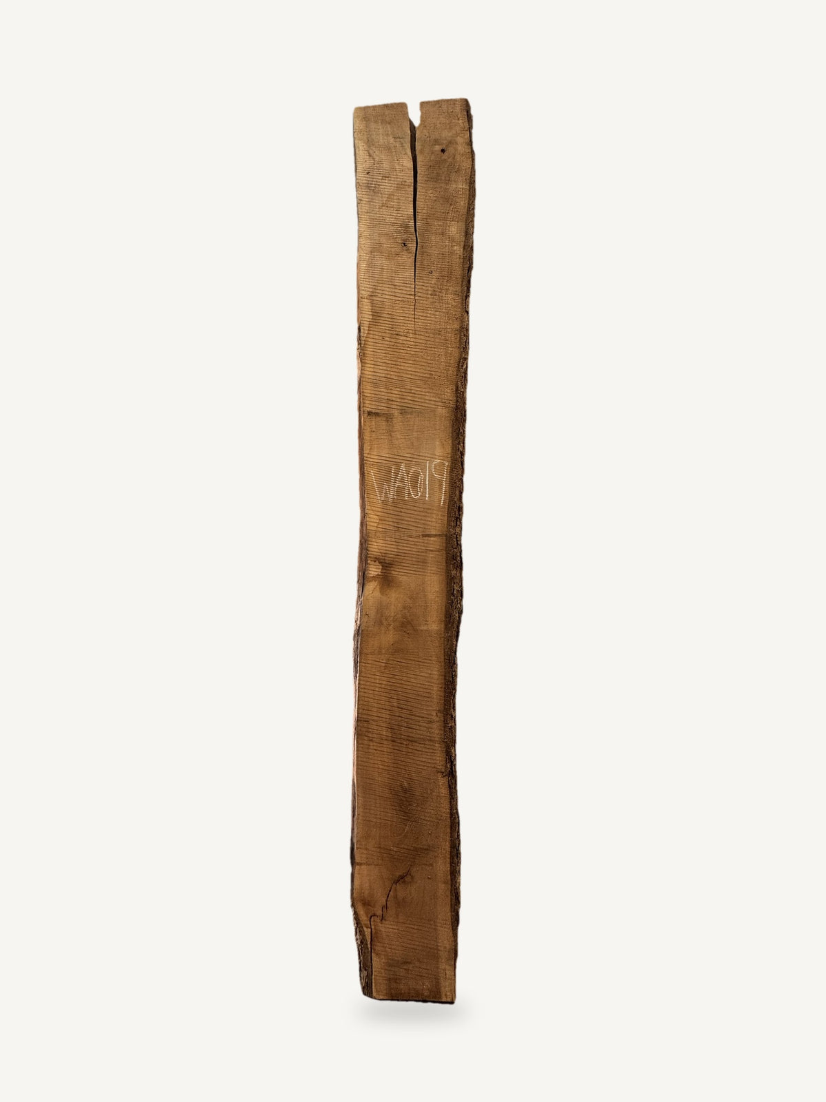 Black walnut live edge slab WA019, front face