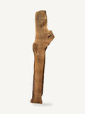 Black walnut live edge slab WA020, front face