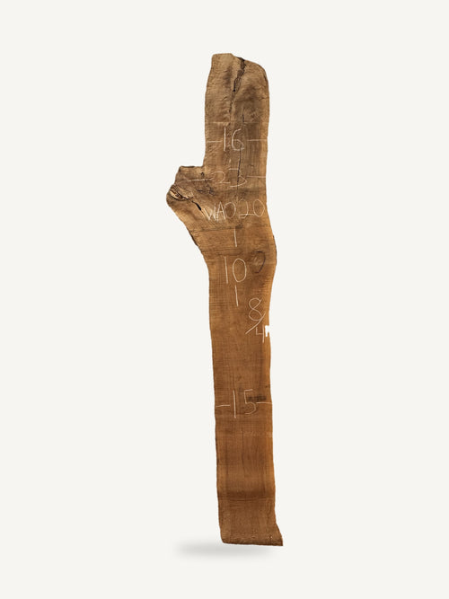 Black walnut live edge slab WA020, back face with chalked dimensions