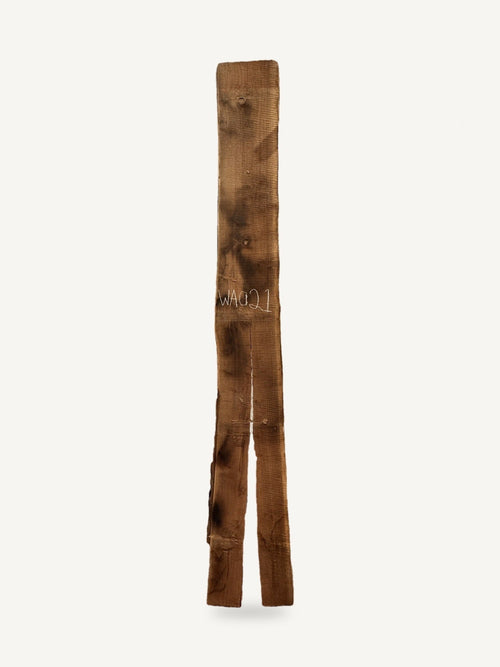 Black walnut live edge slab WA021, front face