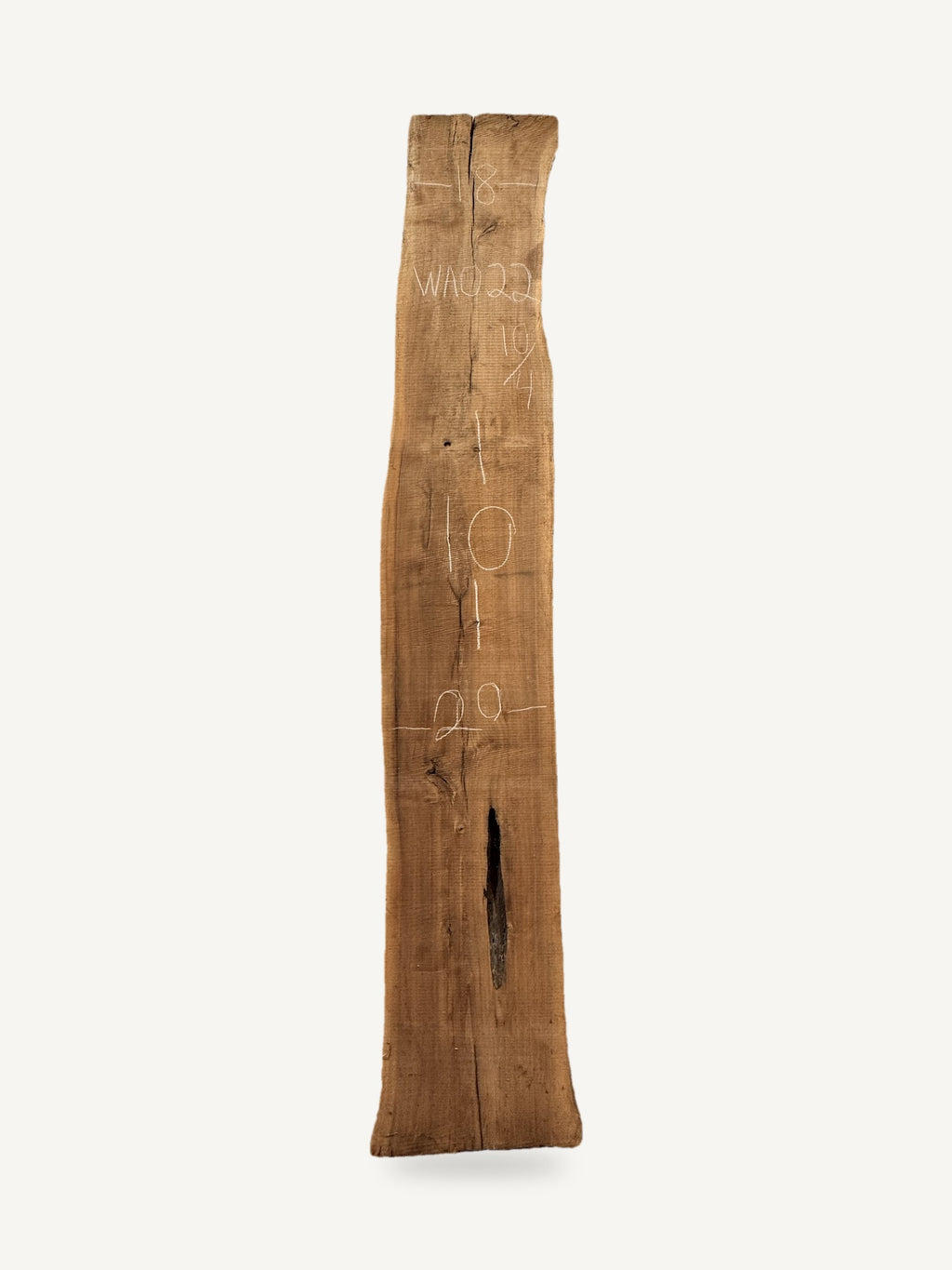 Black walnut live edge slab WA022, back face with chalked dimensions