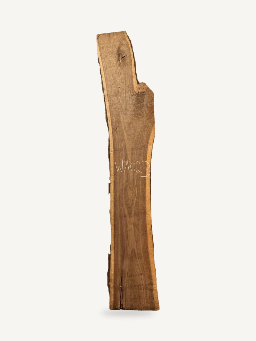 Black walnut live edge slab WA023, front face