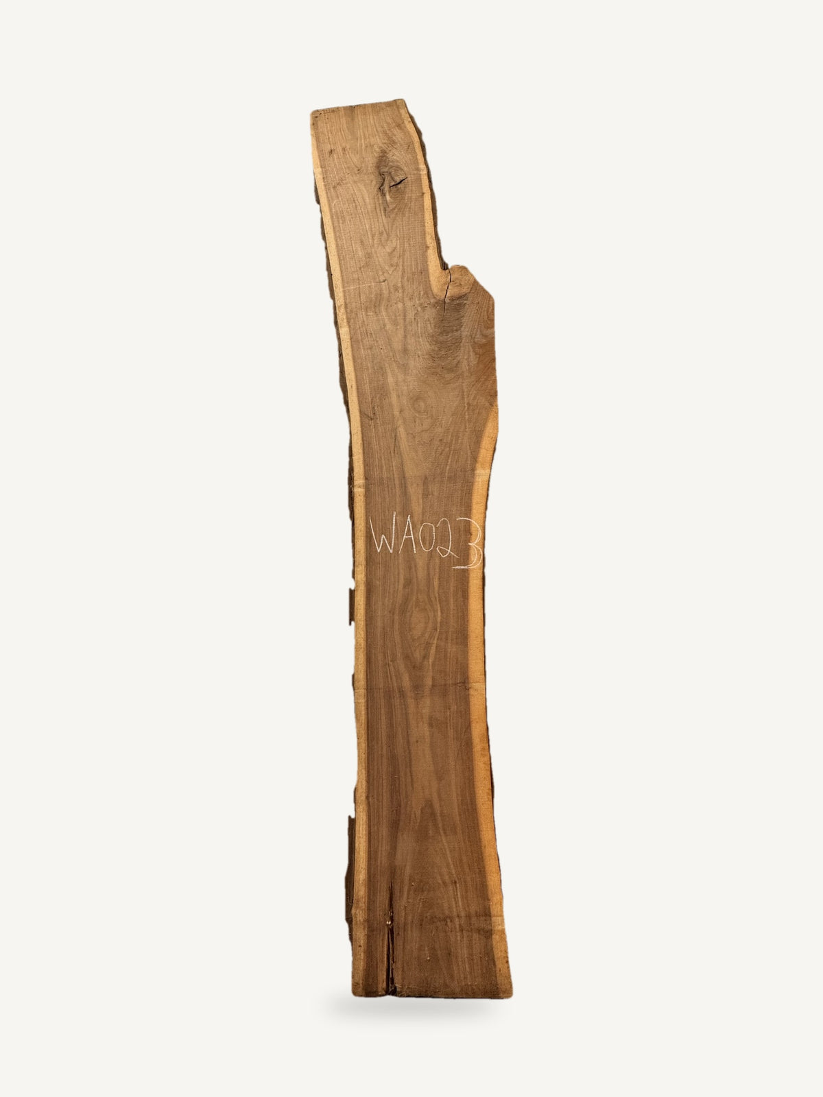Black walnut live edge slab WA023, front face