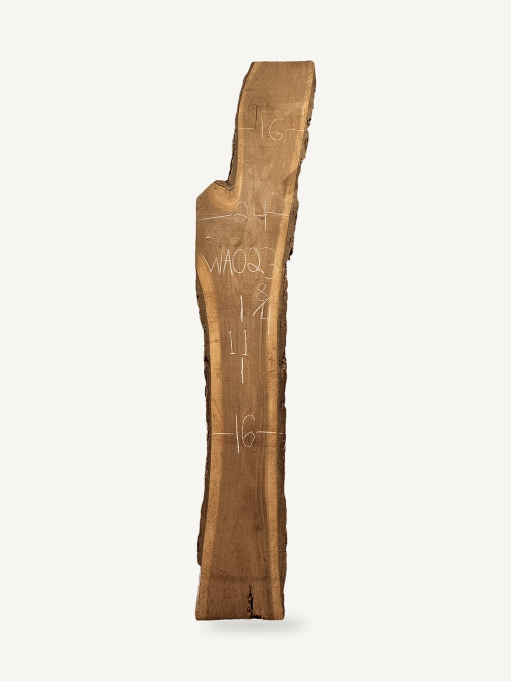 Black walnut live edge slab WA023, back face with chalked dimensions