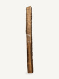 Black walnut live edge slab WA024, front face