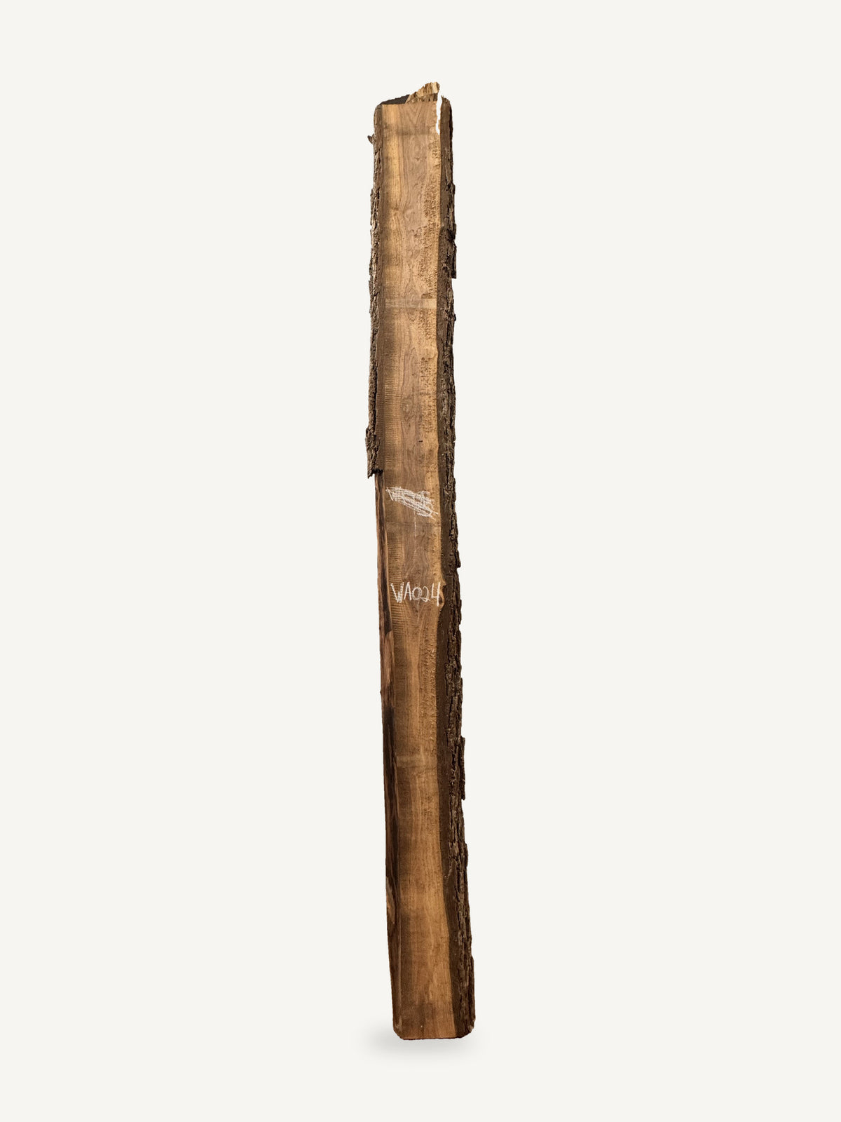 Black walnut live edge slab WA024, front face