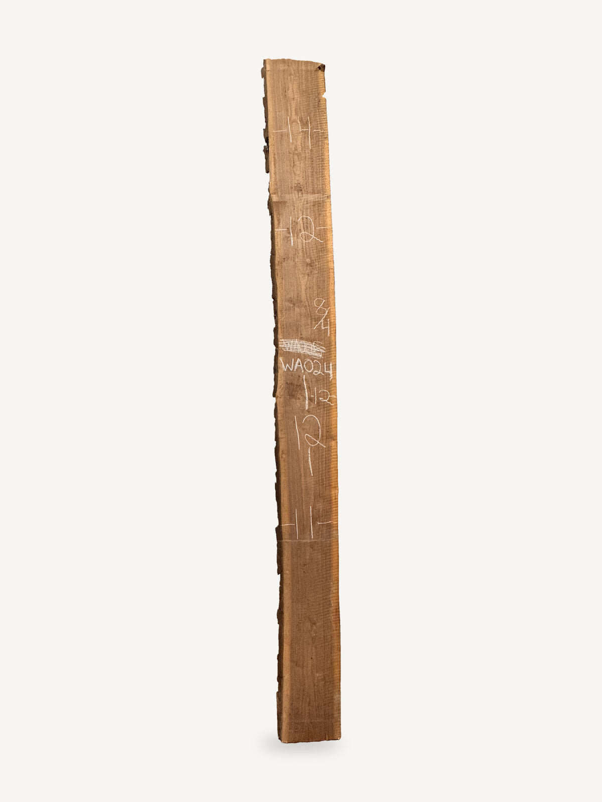 Black walnut live edge slab WA024, back face with chalked dimensions