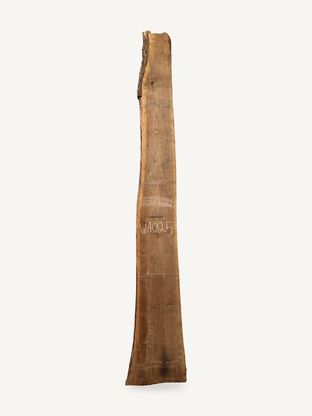 Black walnut live edge slab WA025, front face