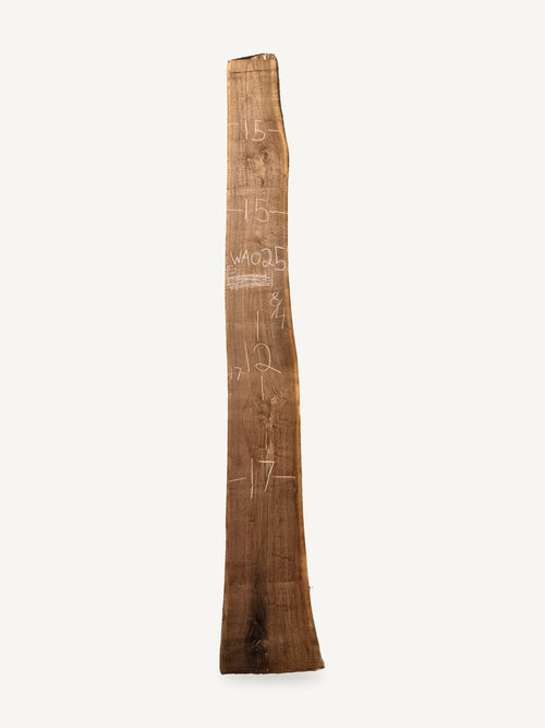Black walnut live edge slab WA025, back face with chalked dimensions