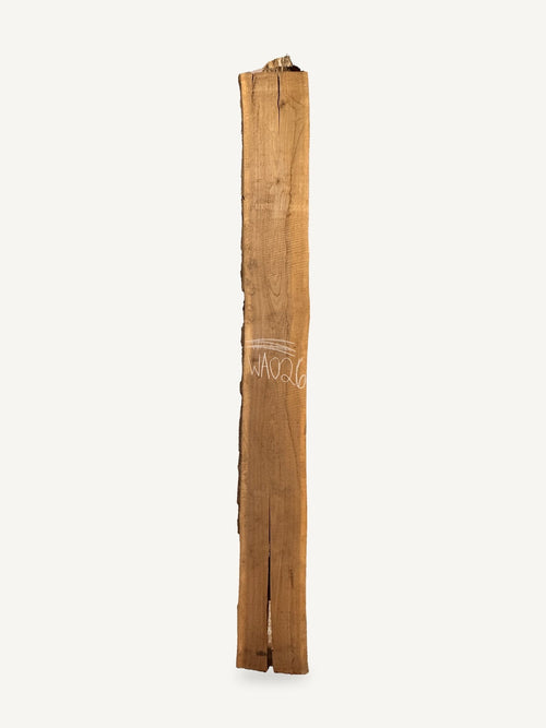 Black walnut live edge slab WA026, front face