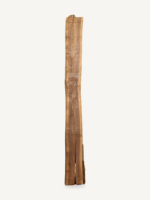 Black walnut live edge slab WA026, back face with chalked dimensions