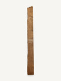 Black walnut live edge slab WA027, front face
