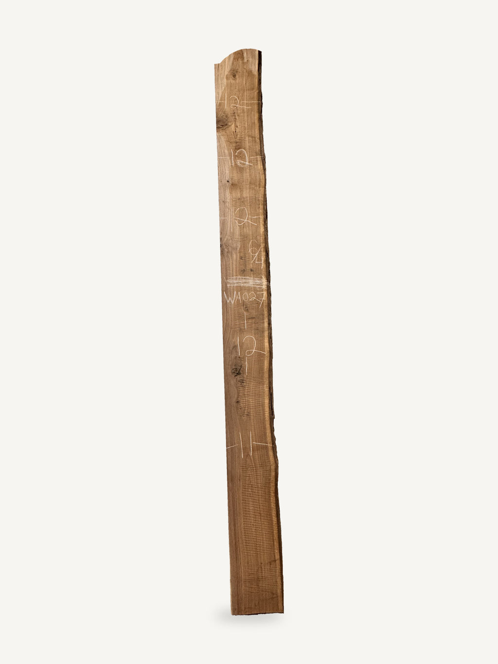 Black walnut live edge slab WA027, back face with chalked dimensions