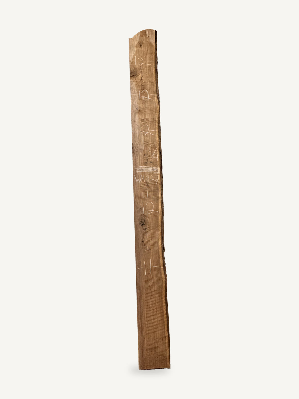 Black walnut live edge slab WA027, back face with chalked dimensions