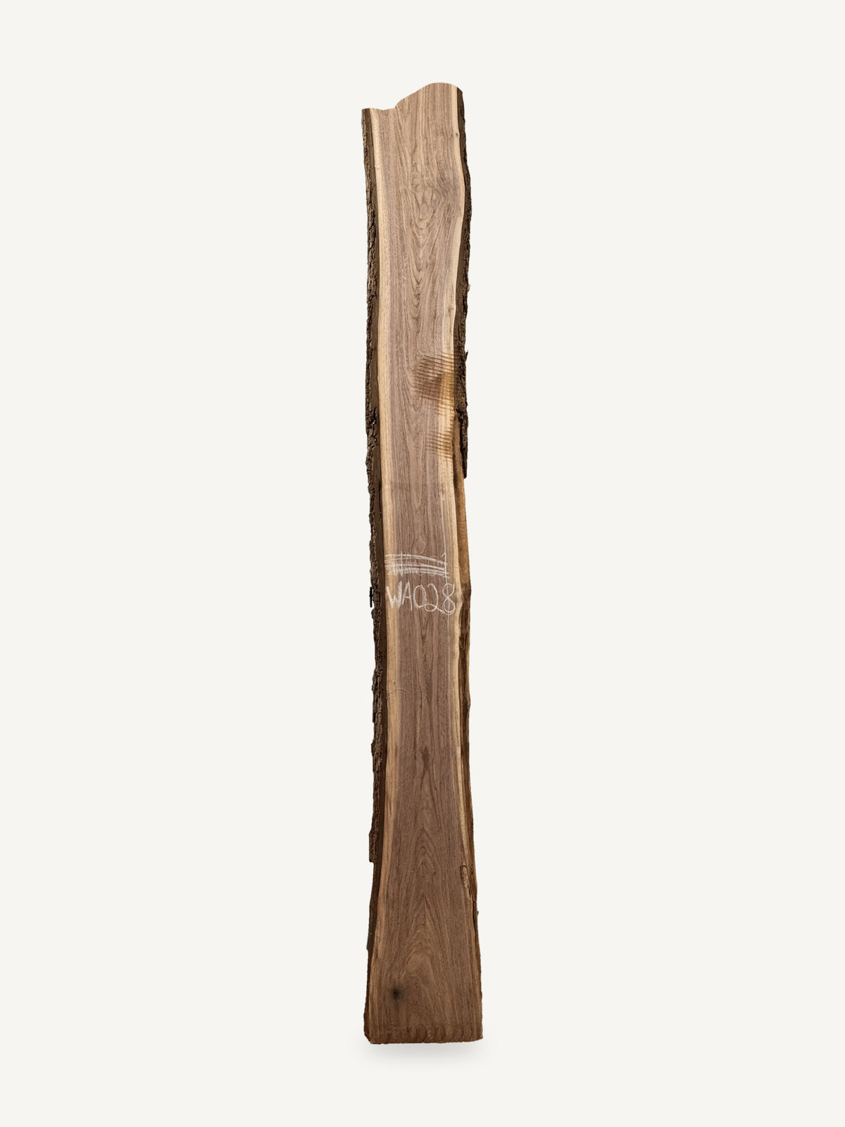 Black Walnut Slab - WA028 - 144in L x 14.2in W x 2in T