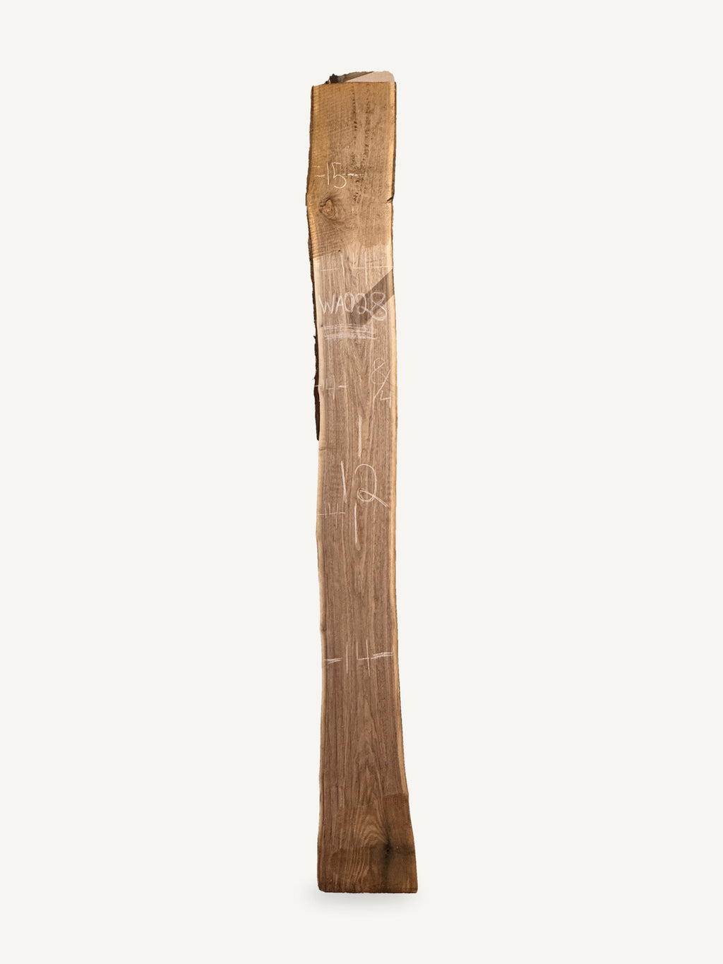 Black walnut live edge slab WA028, back face with chalked dimensions