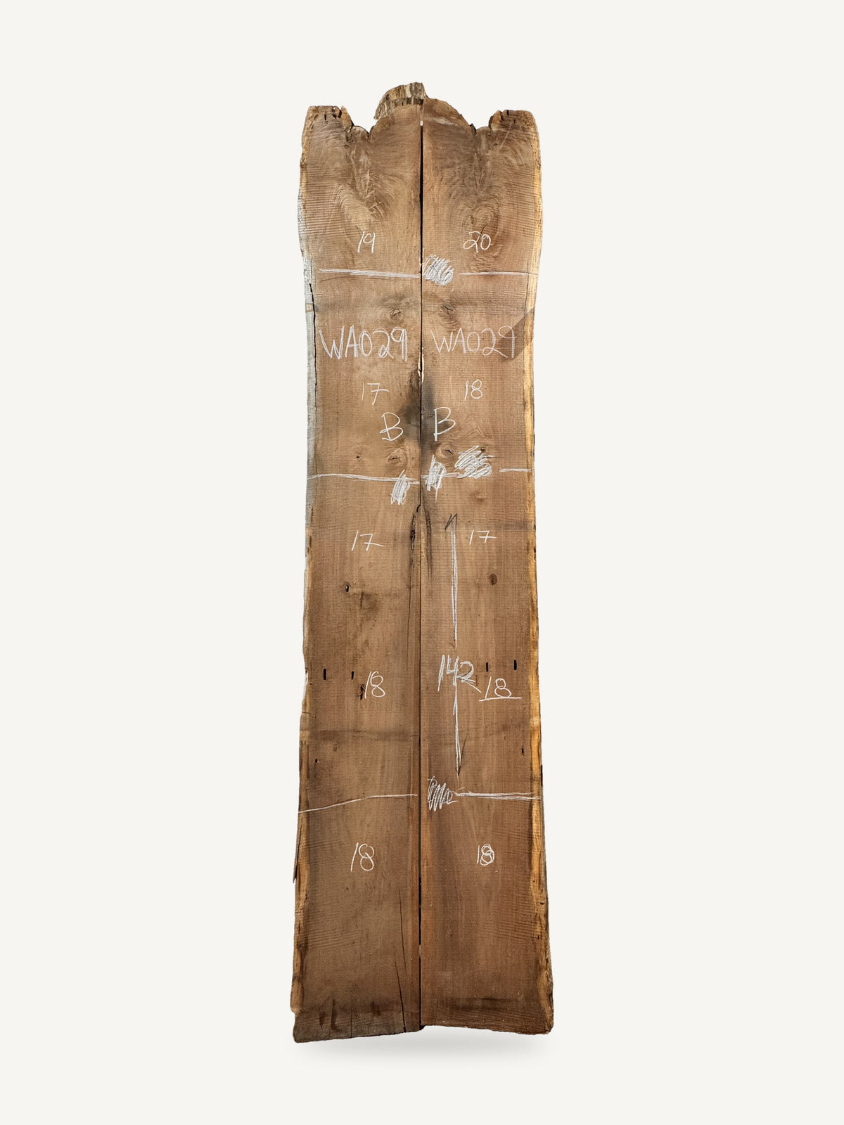 Bookmatched pair of black walnut live edge slabs WA029B, with chalked dimensions