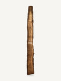 Black walnut live edge slab WA030, front face