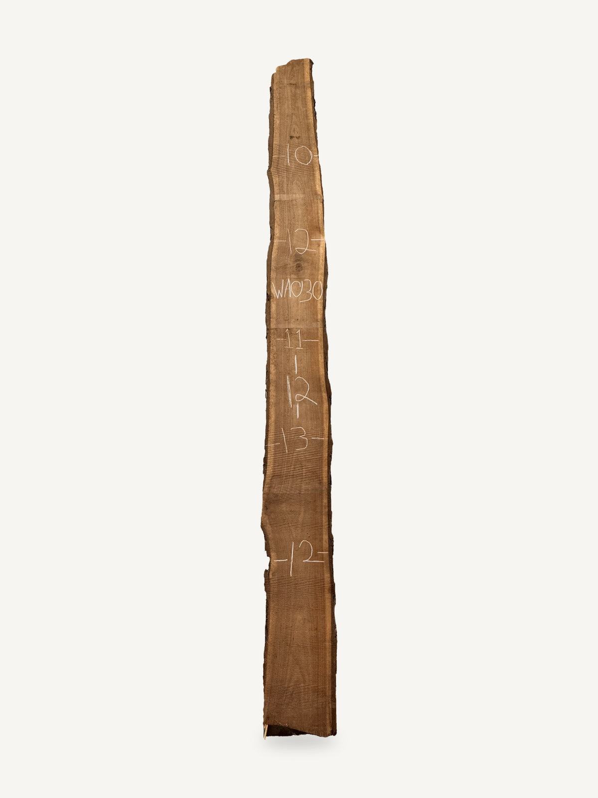 Black walnut live edge slab WA030, back face with chalked dimensions