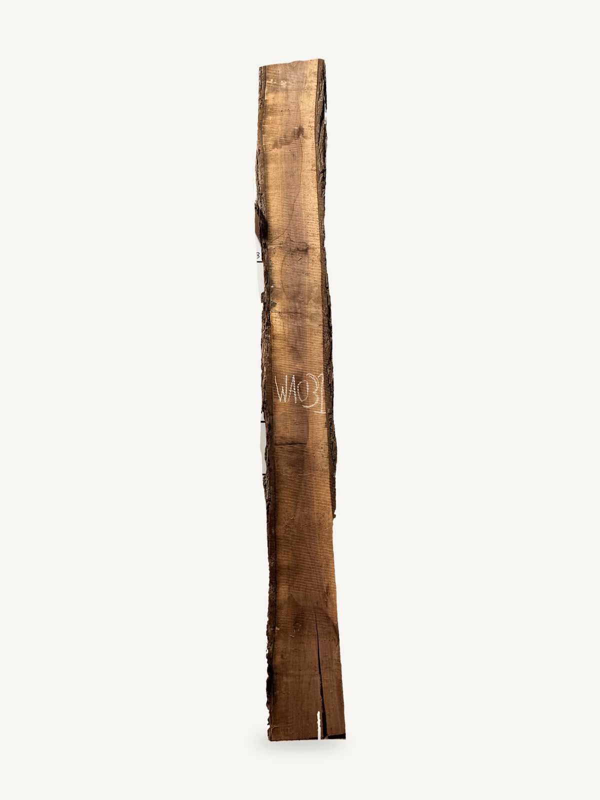 Black walnut live edge slab WA031, front face