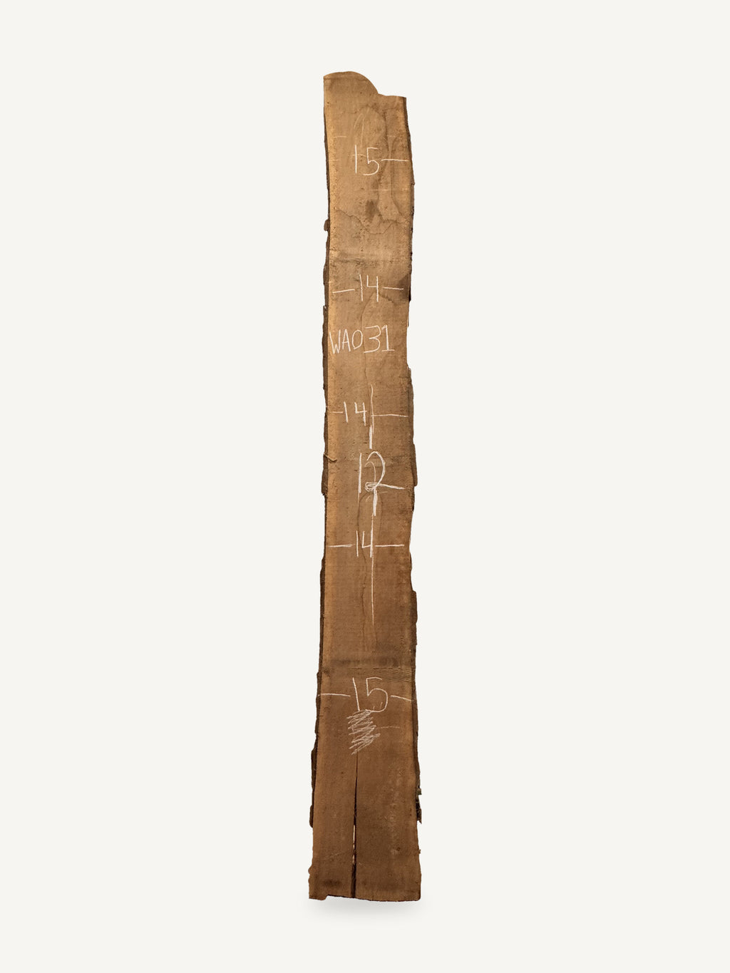 Black walnut live edge slab WA031, back face with chalked dimensions
