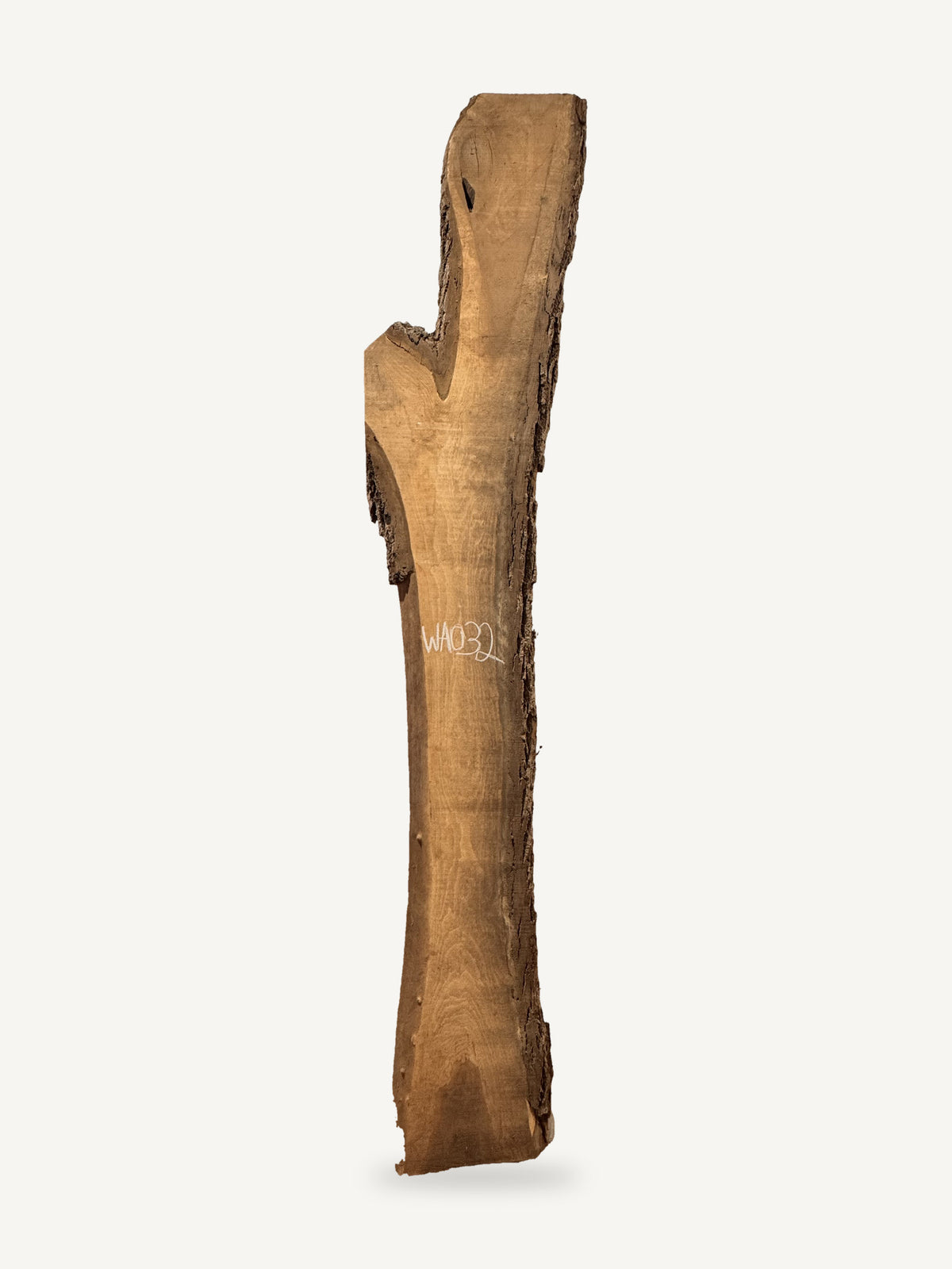 Black walnut live edge slab WA032, front face