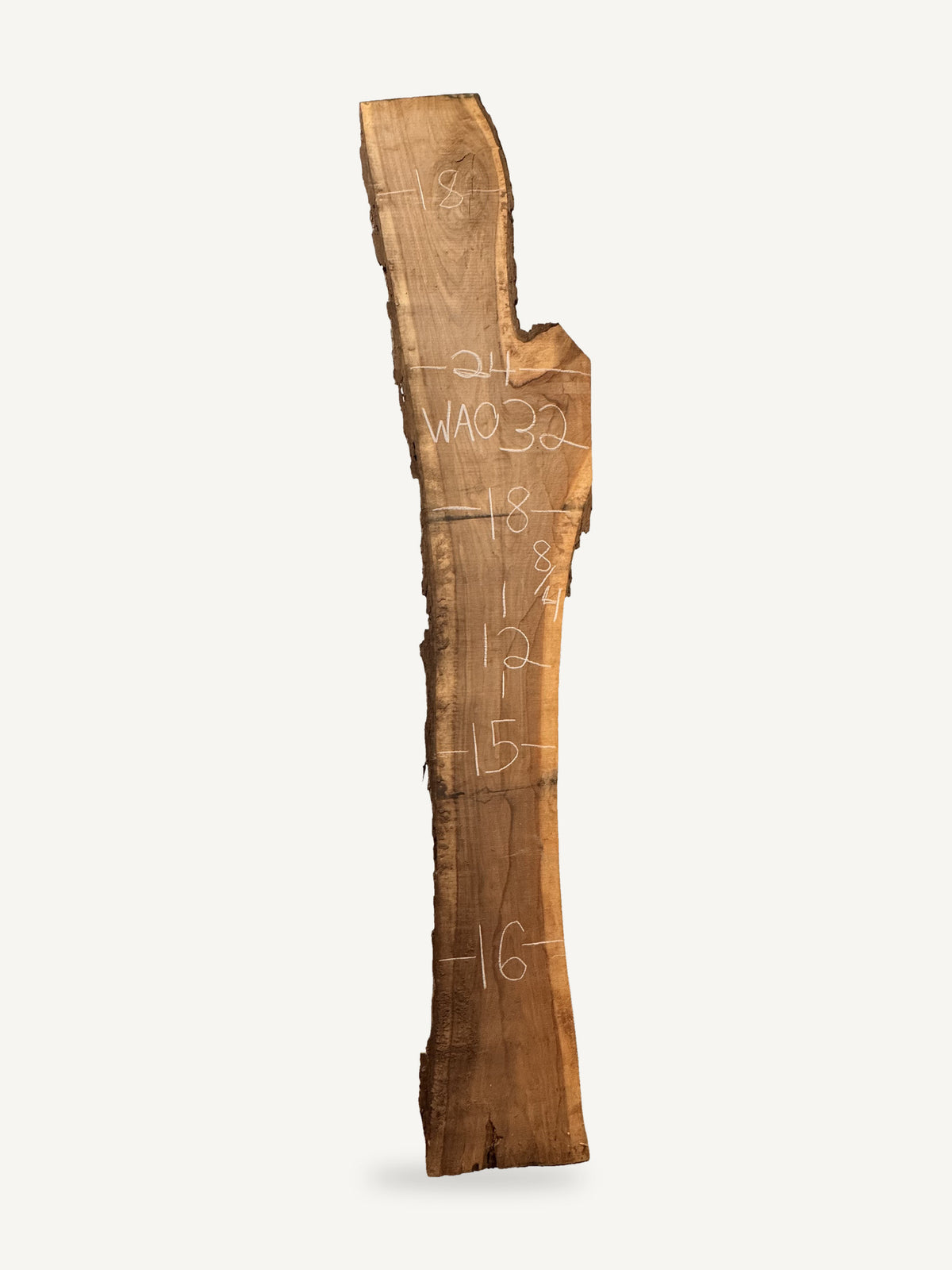 Black walnut live edge slab WA032, back face with chalked dimensions