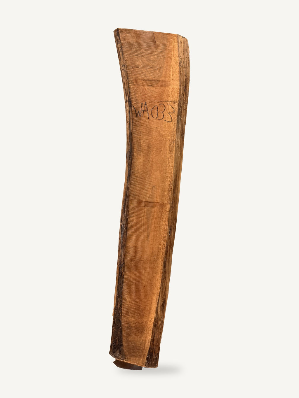 Black walnut live edge slab WA033, front face