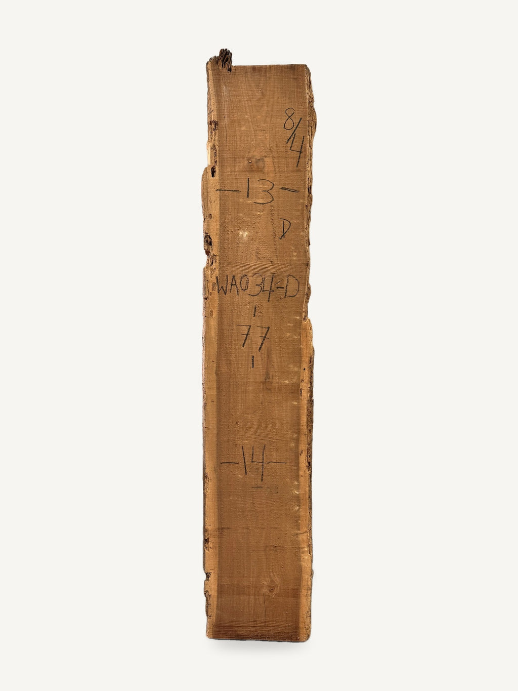 Black walnut live edge slab WA034-D, back face with chalked dimensions