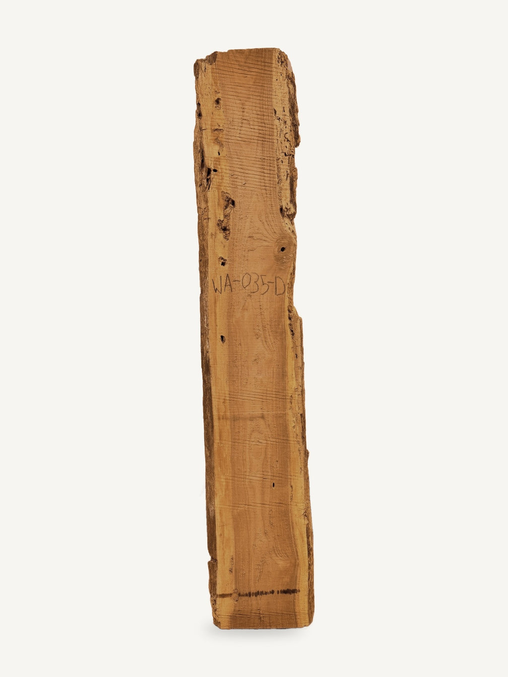 Black walnut live edge slab WA035-D, front face