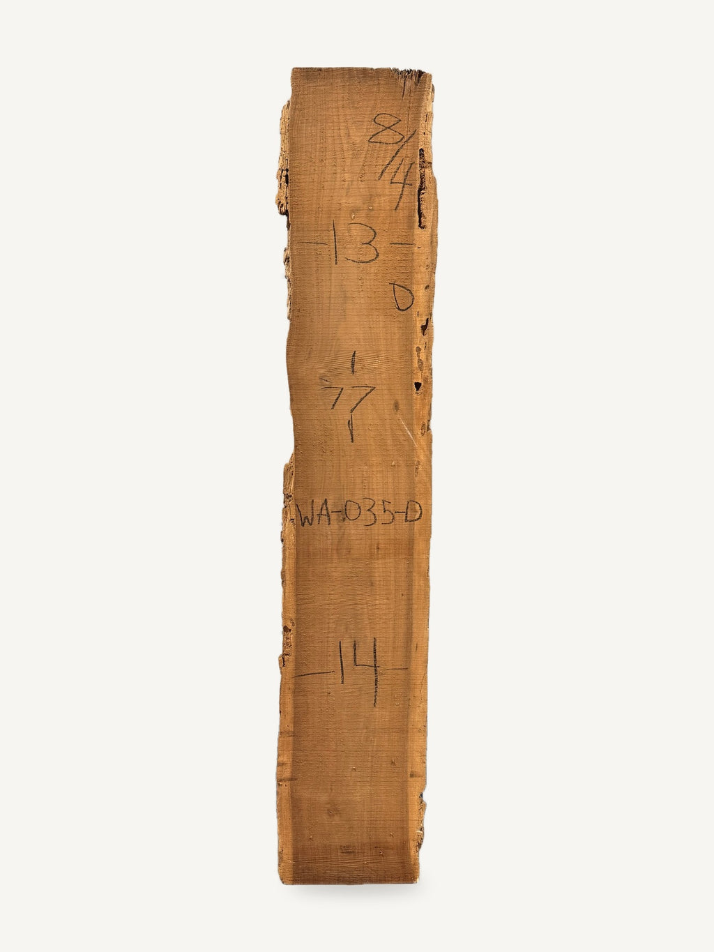 Black walnut live edge slab WA035-D, back face with chalked dimensions