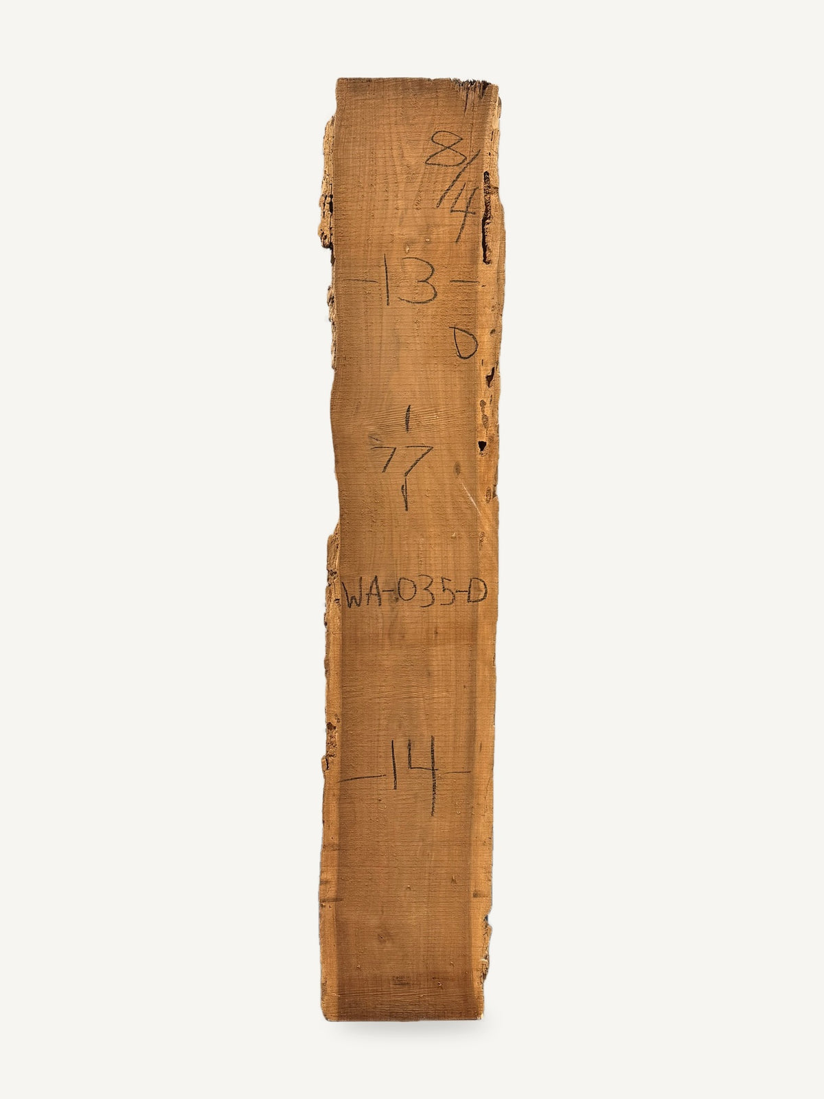 Black walnut live edge slab WA035-D, back face with chalked dimensions