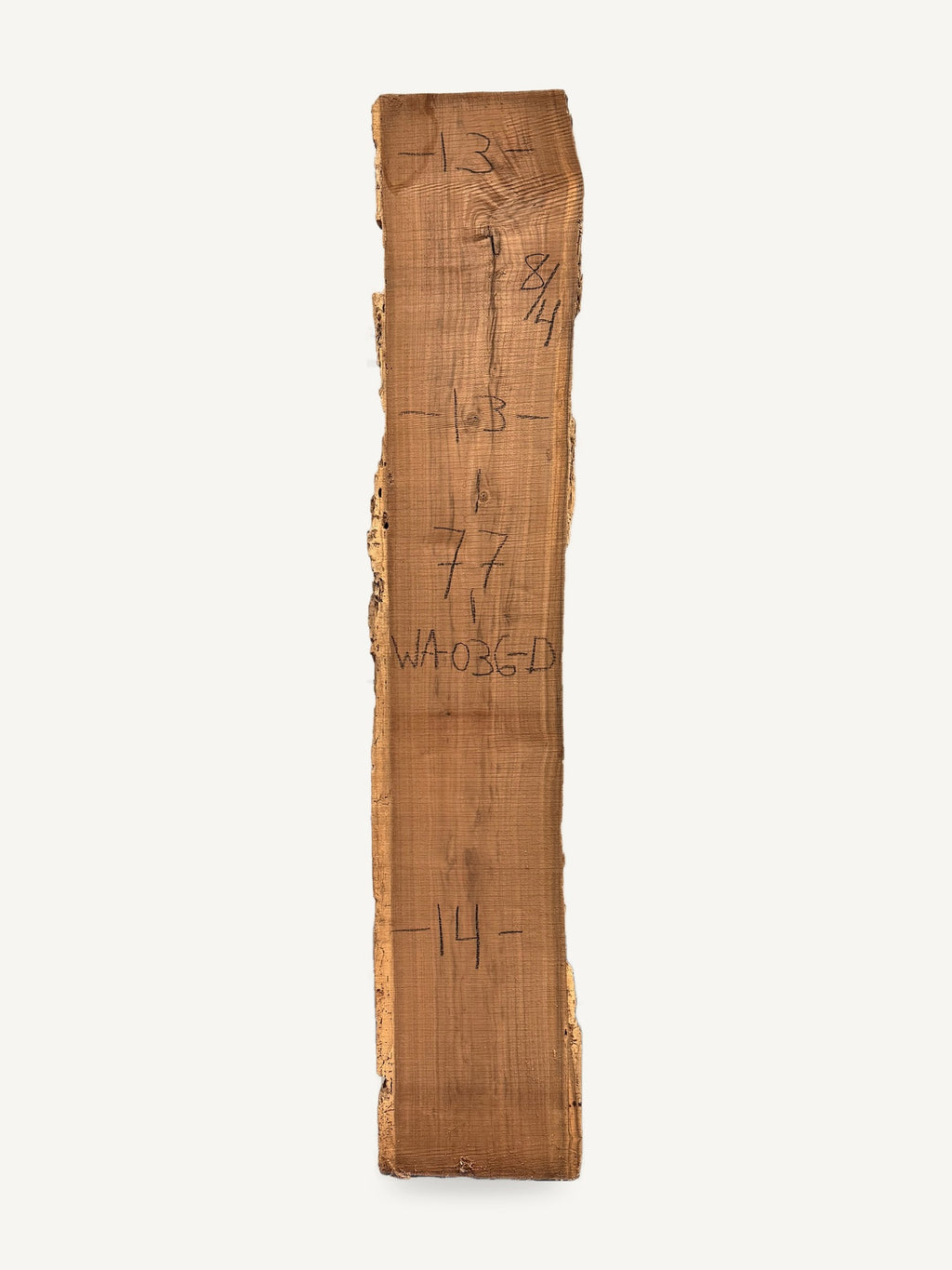 Black walnut live edge slab WA036-D, back face with chalked dimensions