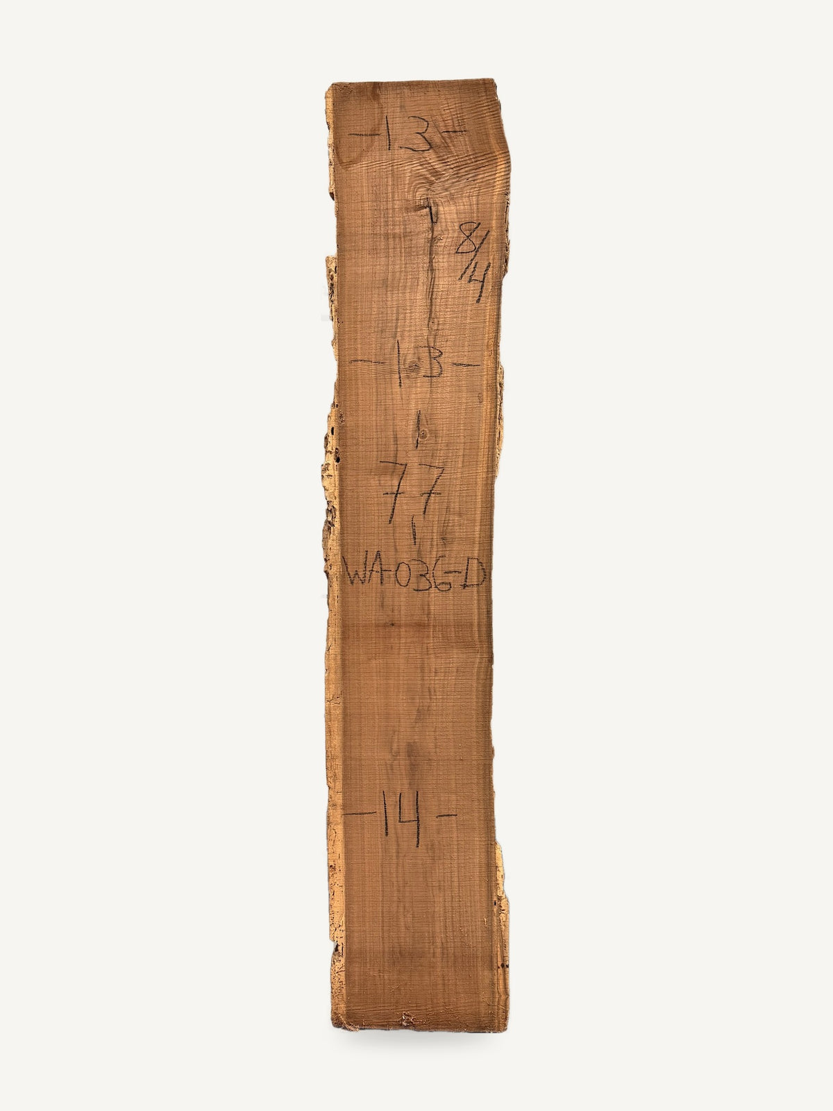 Black walnut live edge slab WA036-D, back face with chalked dimensions