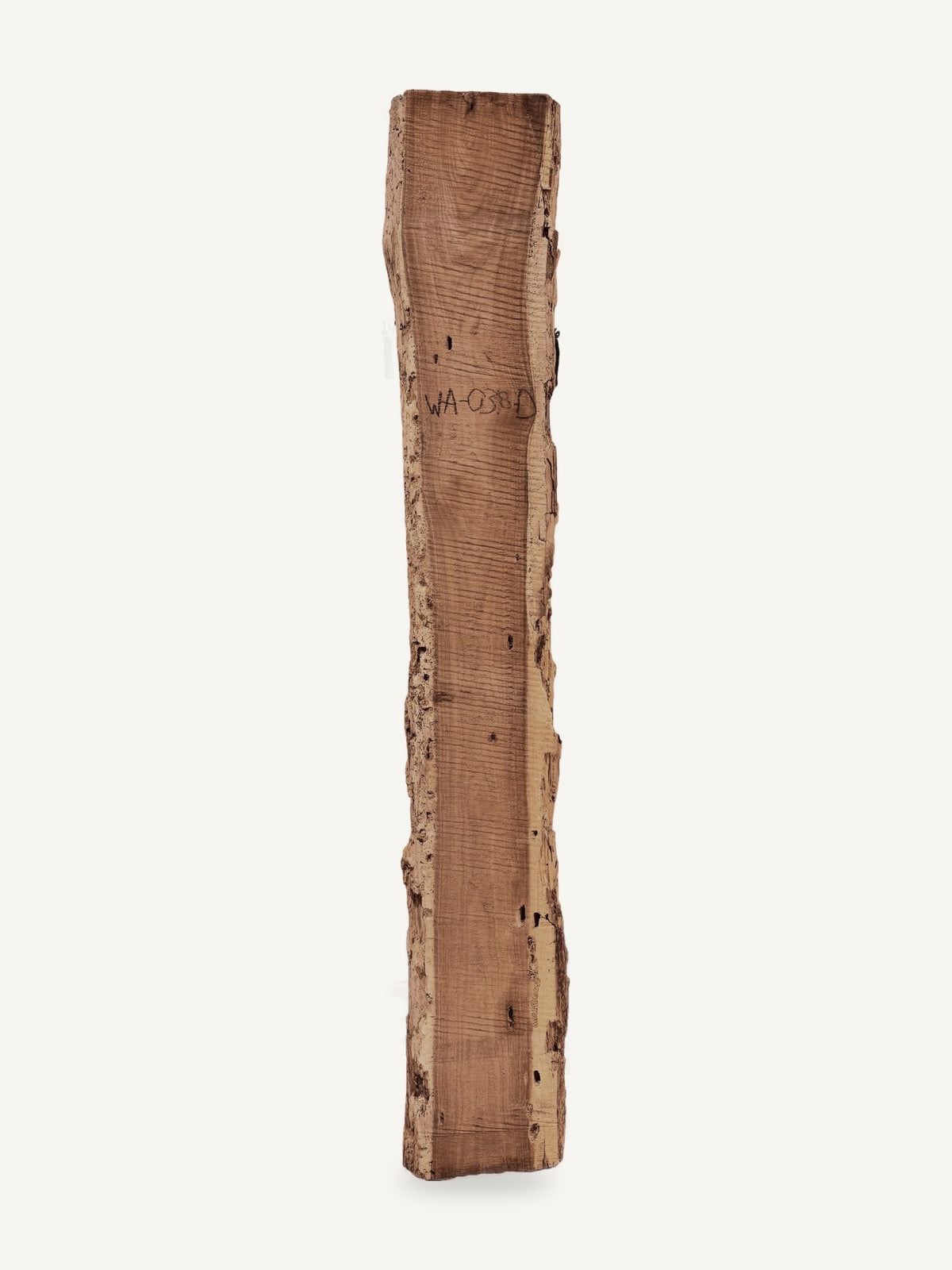 Black Walnut Slab - WA038-D - 77in L x 11in W x 2in T